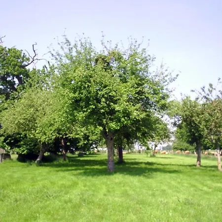 D'hote Honey Orchard Farm * Vessey