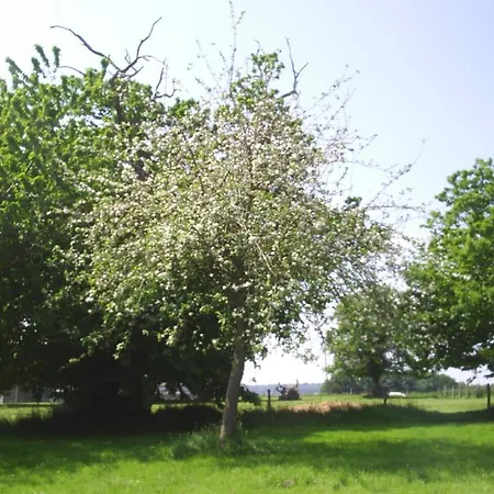 D'hote Honey Orchard Farm *