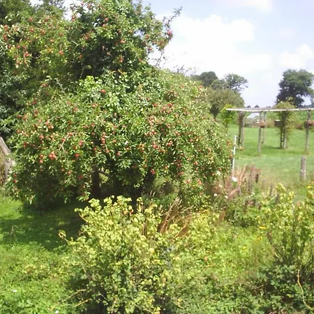 D'hote Honey Orchard Farm Bed & Breakfast