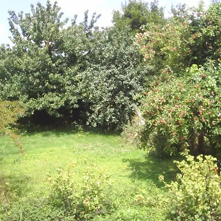 Bed & Breakfast D'hote Honey Orchard Farm